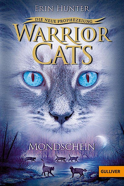 Warrior Cats 2/02: Mondschein