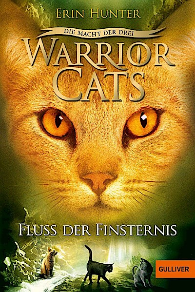 Warrior Cats 3/02: Fluss der Finsternis
