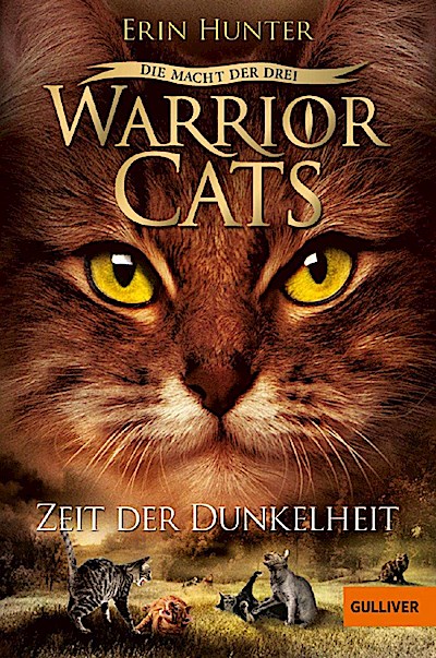 Warrior Cats 3/04: Zeit der Dunkelheit