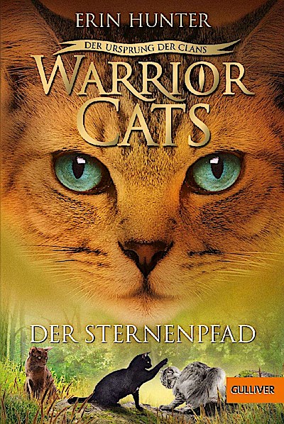 Warrior Cats 5/06: Der Sternenpfad