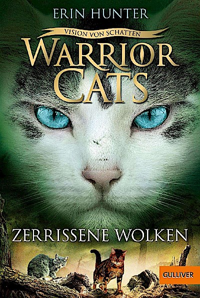 Warrior Cats 6/03: Zerrissene Wolken