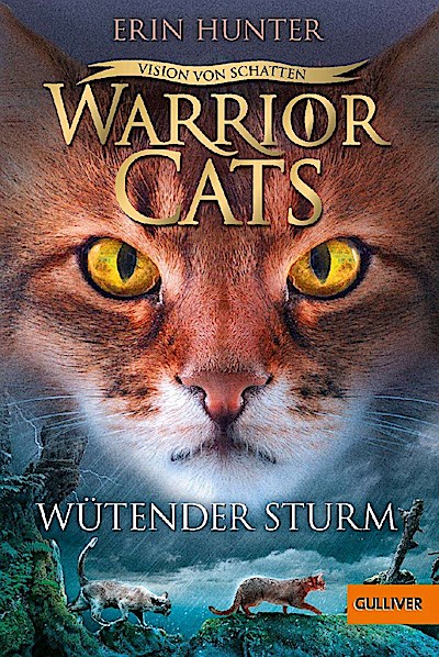 Warrior Cats 6/06: Wütender Sturm
