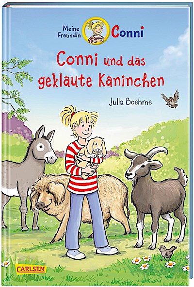 Conni Erzählbände 41: Conni und das geklaute K...