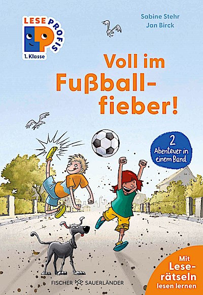 Leseprofis – Voll im Fußballfieber!, 1. Klasse (Doppelband)