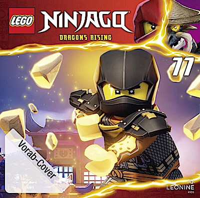 Lego Ninjago (77)