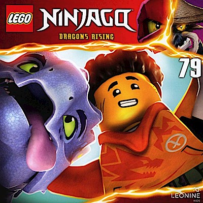 Lego Ninjago (79)