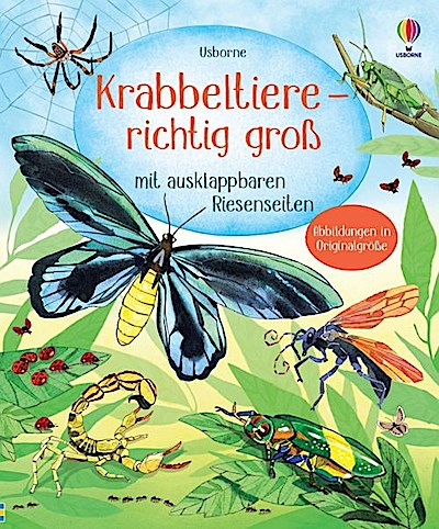 Krabbeltiere - richtig groß (mit ausklappbaren Riesenseiten)