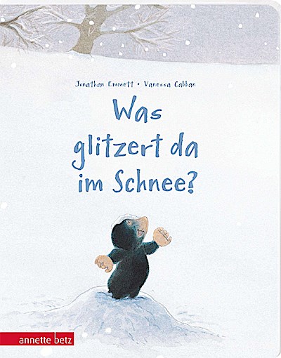 Was glitzert da im Schnee? (Pappe)