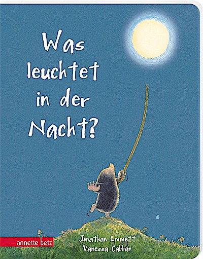 Was leuchtet in der Nacht? (Pappe)