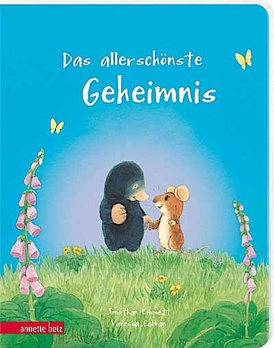 Das allerschönste Geheimnis (Pappe)
