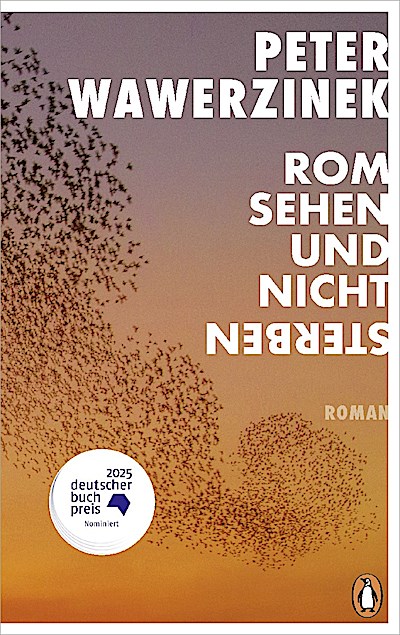 Rom sehen und nicht sterben