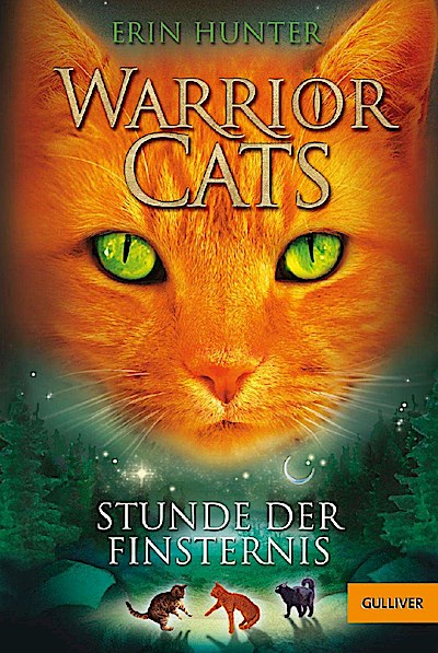 Warrior Cats 1/06: Stunde der Finsternis