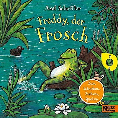 Freddy, der Frosch (Pappe)