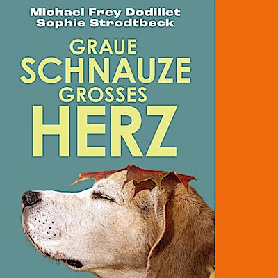 Graue Schnauze, großes Herz