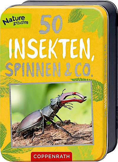 50 Insekten, Spinnen & Co. (in Blechdose)