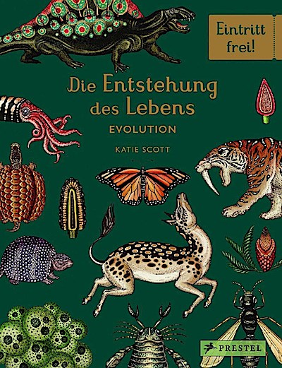 Die Entstehung des Lebens - Evolution