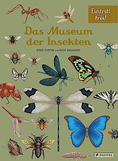 Das Museum der Insekten