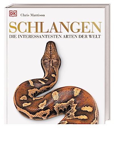 Schlangen