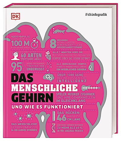 #dkinfografik. Das menschliche Gehirn und wie ...
