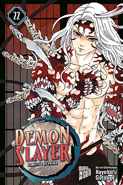 Demon Slayer - Kimetsu no Yaiba 22